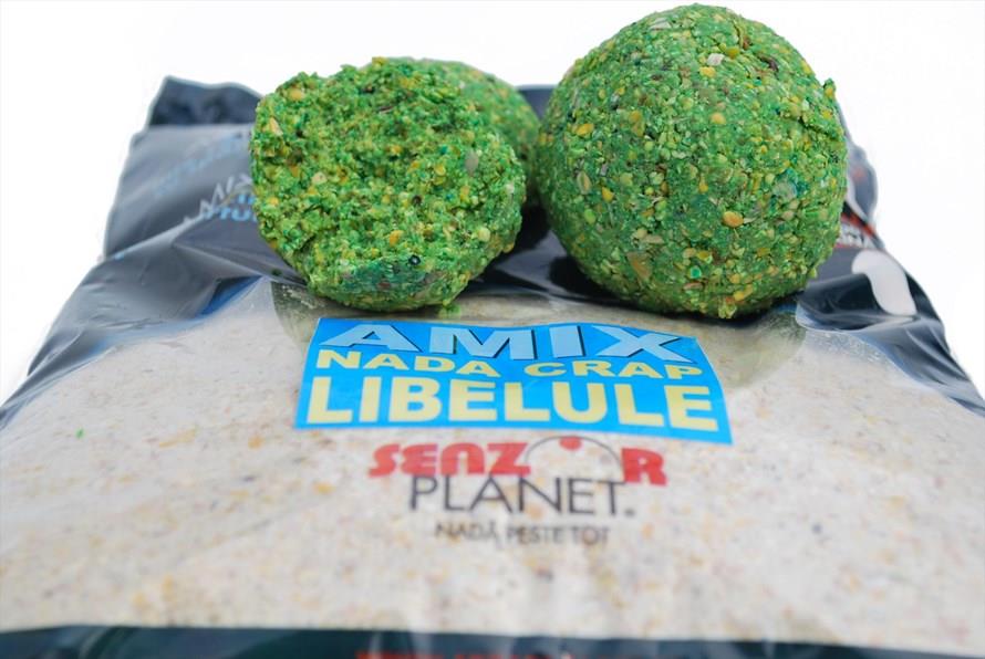 Diverse - amix-libelule.jpg